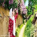 عکس آهنگ جدید عاشقانه دمبوره هزاره گی / خواننده،ظاهر سازگار، افغانی زیبا