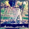 عکس اهنگ محلی بسیار زیبای شیرازی/کلیپ بی نظیر شیرازی