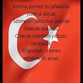 عکس National Anthem, Turkey