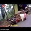 عکس Funny Bike Stunt Fails in India - Must Watch