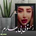 عکس کلیپ عاشقانه و احساسی کلیپ زندونی روزگارم