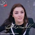 عکس کلیپ ترکی خاص//کلیپ هانده ارچل//استوری خاص