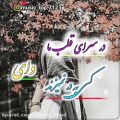 عکس کلیپ لری /موزیک لری