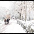 عکس برف نو سلام - شعر و دکلمه از احمد شاملو
