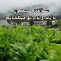 عکس کلیپ تکست خدا .برای استوری و وضعیت واتساپ .دلنوشته خاص .حرف دل .