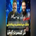 عکس همخوانی بهنام بانی وبابک جهانبخش