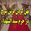 عکس بهترین کلیپ محرم ۱۴۰۰ - پهن کردن فرش سرخ در حرم سید الشهدا