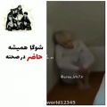 عکس شوگا همیشه حاضر در صحنه