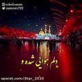 عکس مداحی شور / عزاداری تاسوعای حسینی / کلیپ محرم