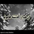 عکس موزیک ویدئوی شب یلدا - حامد محضر نیا