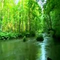 عکس طبیعت زیبای مازندران با صدای فوق العاده معین