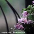 عکس آهنگ زیبا عاشقانه -کلیپ عاشقانه غمگین - کلیپ جدید