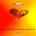 عکس دلخوشم شعری عاشقانه از محمد علی بهمنی و اجرای دلنشین محبوبه شجاعی در رادیو دل دا