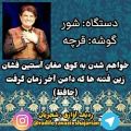 عکس قرچه شور استاد محمدرضا شجریان ( 17 )