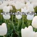 عکس کلیپ تکست خدا .دلنوشته .حرف دل .برای استوری