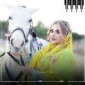 عکس کلیپ لری شاد/آهنگ لری شاد/صدای کاظم قادری