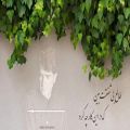 عکس دیدی ای دل که غم عشق چه کرد - محمدرضا شجریان | ساز و آواز دشتی