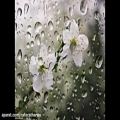 عکس هم‌نوایی باران و پیانو