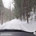 عکس رانندگی مجازی زیر برف جنگلی