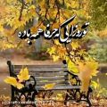 عکس آهنگ تو روز هایی که حرفا همه باده