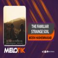 عکس Moein Hasheminasab - The Familiar Stranger Soil | معین هاشمی نسب - خاک غریب آشنا
