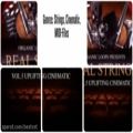 عکس Organic Loops Real Strings Vol 5 - | Best-Vst.ir