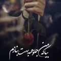 عکس کلیپ عاشقانه .دلبر ناز .برای وضعیت واتساپ