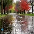 عکس دکلمه ی زیبای شعر فروغ فرخزاد با اجرای خانم سعیده اصلاحی
