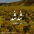 عکس کلیپ خدا . شد شد نشد خدا هست . بهترین کلیپ برای وضعیت واتساپ