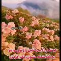 عکس کلیپ تکست ناب .حرف دل .دلنوشته خاص .برای وضعیت واتساپ