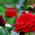 عکس کلیپ عاشقانه بسیار زیبا .برای وضعیت واتساپ .من یه گل سرخی دارم....