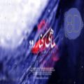 عکس آهنگ جدید محسن چاوشی - ماهی کنار رود (8بُعدی-8D)