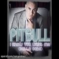 عکس Pitbull-I Know you want me
