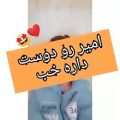 عکس امیر مقاره