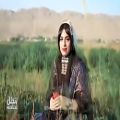 عکس موزیک ویدیو برنو و گل از شهریار کریمی و ماهک