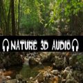 عکس صدای طبیعت-صدای سه بعدی پرندگان-موزیک مدیتیشن