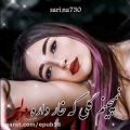 عکس دانلود آهنگ لری پرطرفدار / نمیچینم گلی که خار داره دلبر