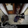 عکس فیلم شهرزاد - با صدای آرش نور الهی ،ترانه دوری