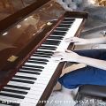 عکس اهنگ گل پامچال با پیانو ،ارمیا کدخدا زاده،ermia kad khodazadeh,piano