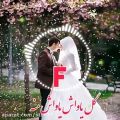 عکس کلیپ اسمی F | موزیک عاشقانه | کلیپ اسمی جذاب