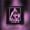عکس Download New Music By Jamin – Vali To