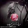 عکس کلیپ غمگین_سه پنج روز که بوی بلبل نیومد یار....