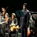 عکس مهیار شادروان و ارکستر زهی چنگ /جام مدهوشی