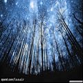 عکس .::A SKY FULL OF STARS::.
