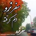 عکس ترانه سفر نرو از حجت اشرف زاده