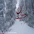 عکس محمدرضا شجریان - زمستان است ...
