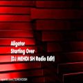 عکس (Aligator - Starting Over(DJ MEHDI SH Radio Edit)(Audio