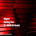 عکس (Aligator - Starting Over (DJ MEHDI SH Remix) (Audio