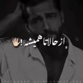 عکس امیر مقاره