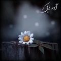 عکس دلنوشته غمگین - دلنوشته عاشقانه خاص